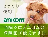 アニコム損害保険株式会社