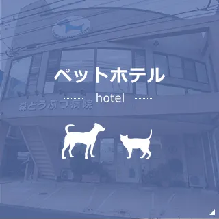 ペットホテル