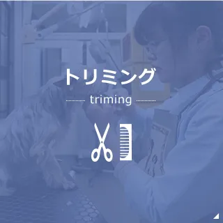 トリミング
