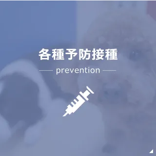 各種予防接種