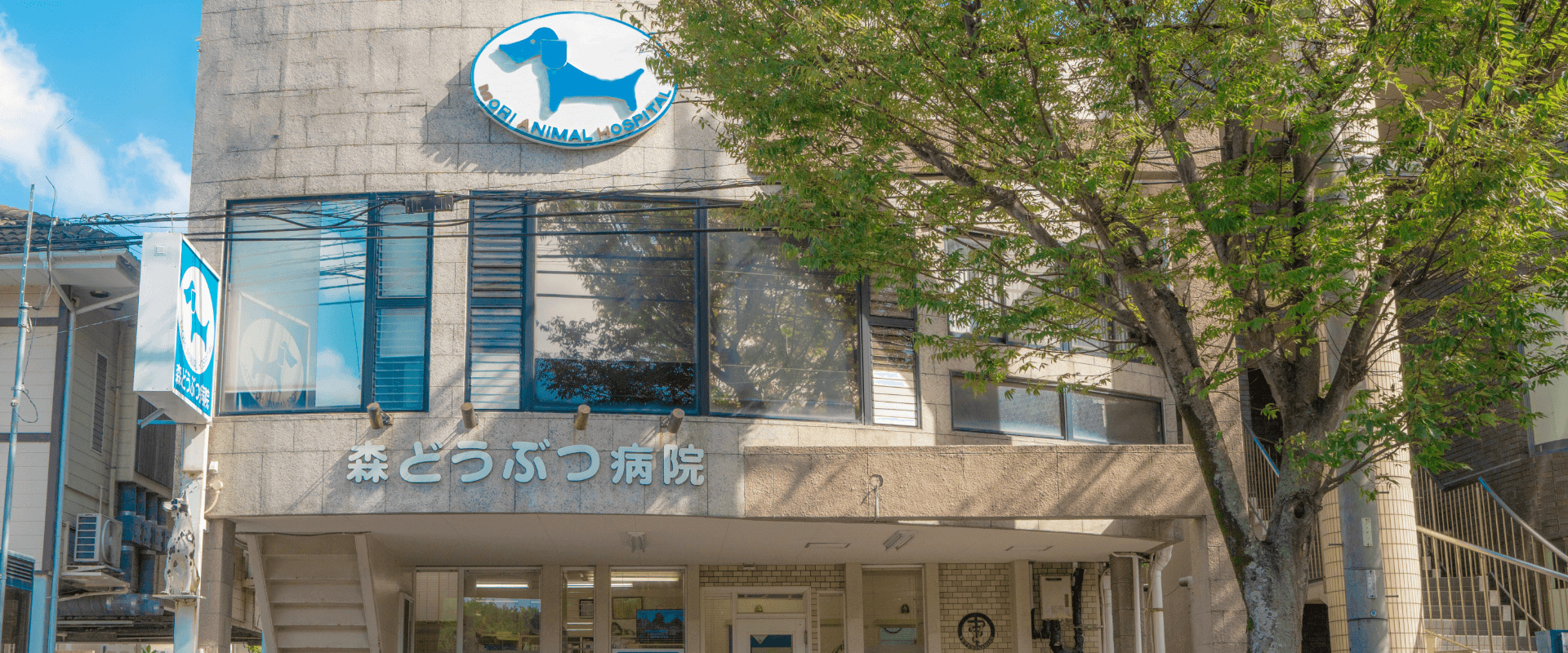 森どうぶつ病院